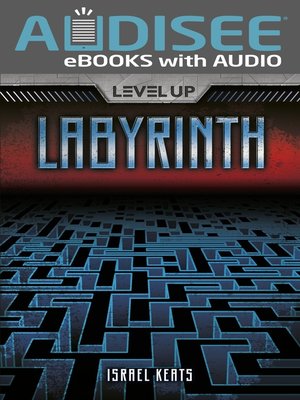 cover image of Labyrinth